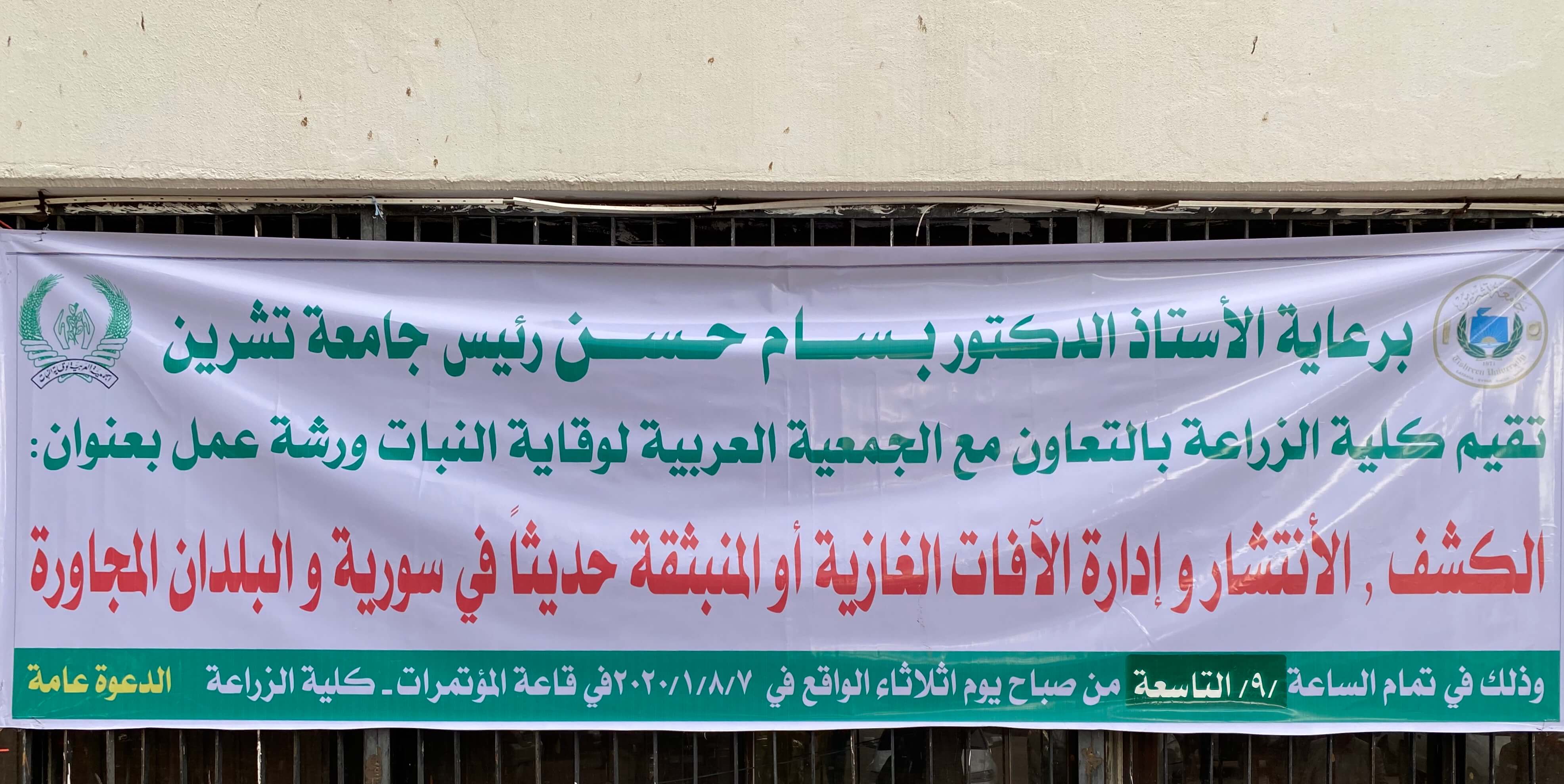معرض الصور