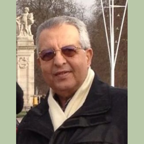 ahmad henedi